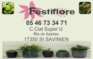 Festiflore