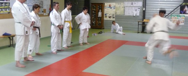 Le judo loisir reprend des couleurs