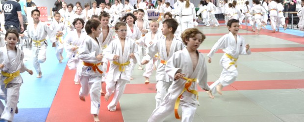 Les judokas savinois s’offrent le tournoi de Saint Jean d’Angely