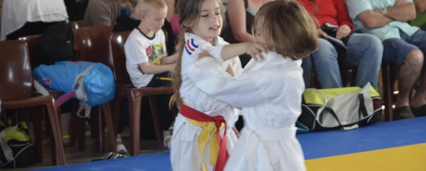 Saint Savinien 4ème au tournoi de Charron