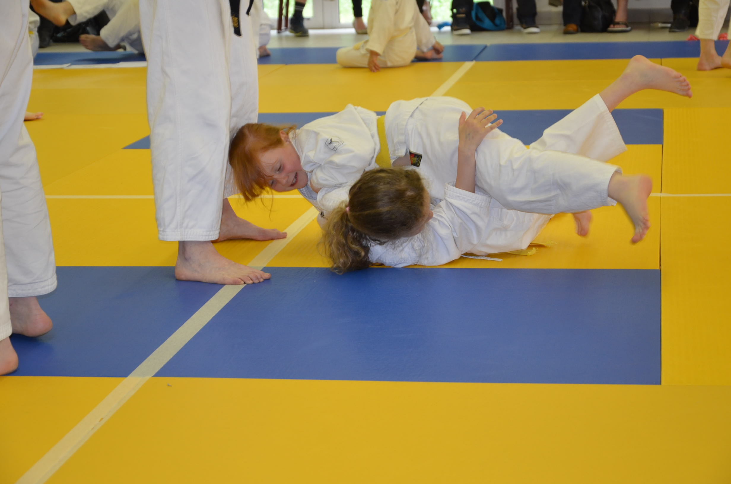 club judo ferrieres d'aunis