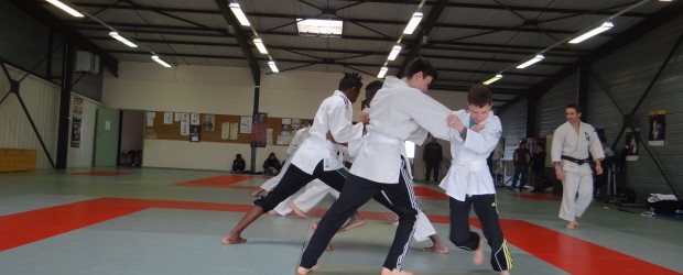 Le judo savinois hôte de Defi Rêve