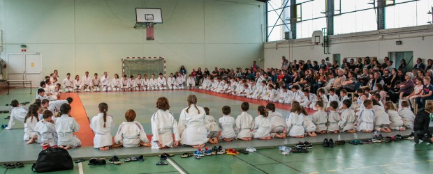 Le Judo savinois fête ses 30 ans