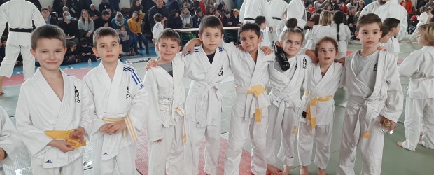 Le Judo Club Savinois en ce début d’année !!!