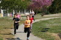 IMG_0664.JPG