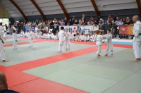 ST JEAN D'Y 2015 (55).JPG