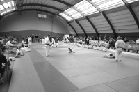 ST JEAN D'Y 2015 (56).JPG
