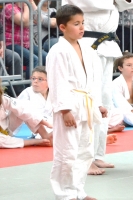 ST JEAN D'Y 2015 (67).JPG