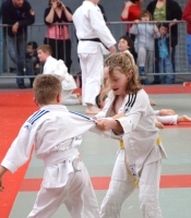 ST JEAN D'Y 2015 (73).JPG