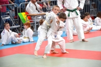 ST JEAN D'Y 2015 (80).JPG