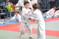 ST JEAN D'Y 2015 (83).JPG