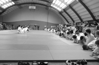 ST JEAN D'Y 2015 (92).JPG