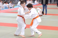 ST JEAN D'Y 2015 (97).JPG