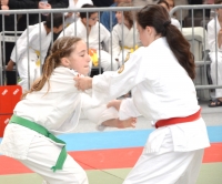 ST JEAN D'Y 2015 (104).JPG
