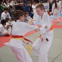 ST JEAN D'Y 2015 (128).JPG