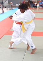 ST JEAN D'Y 2015 (136).JPG