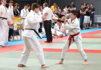 ST JEAN D'Y 2015 (142).JPG