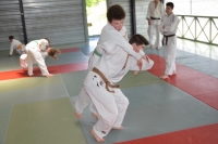 DSC_0210 (800x530).jpg