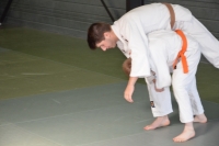 DSC_0235 (800x530).jpg