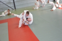 DSC_0246 (800x530).jpg