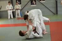 DSC_0280 (800x530).jpg