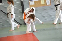 DSC_0287 (800x530).jpg