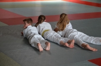 Ceintures 2015 (2).jpg