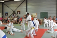 Ceintures 2015 (3).jpg