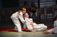 Ceintures 2015 (4).jpg