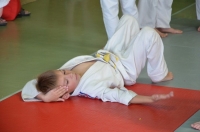 Ceintures 2015 (13).jpg
