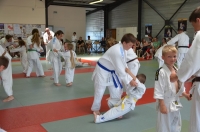 Ceintures 2015 (17).jpg