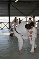 Ceintures 2015 (27).jpg