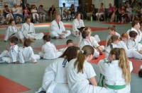 Ceintures 2015 (31).jpg