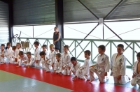 Ceintures 2015 (33).jpg
