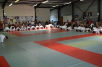 Ceintures 2015 (61).jpg