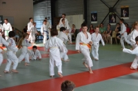 Ceintures 2015 (66).jpg