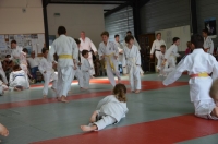Ceintures 2015 (70).jpg