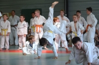 Ceintures 2015 (115).jpg