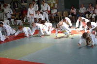 Ceintures 2015 (101).jpg