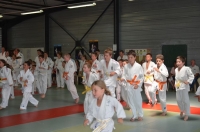 Ceintures 2015 (97).jpg