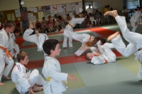 Ceintures 2015 (135).jpg