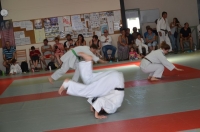 Ceintures 2015 (138).jpg
