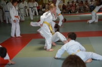 Ceintures 2015 (133).jpg
