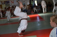 Ceintures 2015 (146).jpg