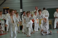 Ceintures 2015 (150).jpg