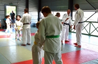 Ceintures 2015.jpg