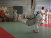 Ceintures 2015 (176).jpg