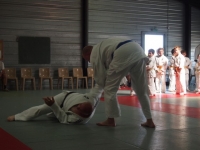 Ceintures 2015 (178).jpg