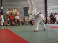 Ceintures 2015 (185).jpg