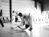 Ceintures 2015 (187).jpg